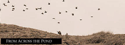 From Across the Pond